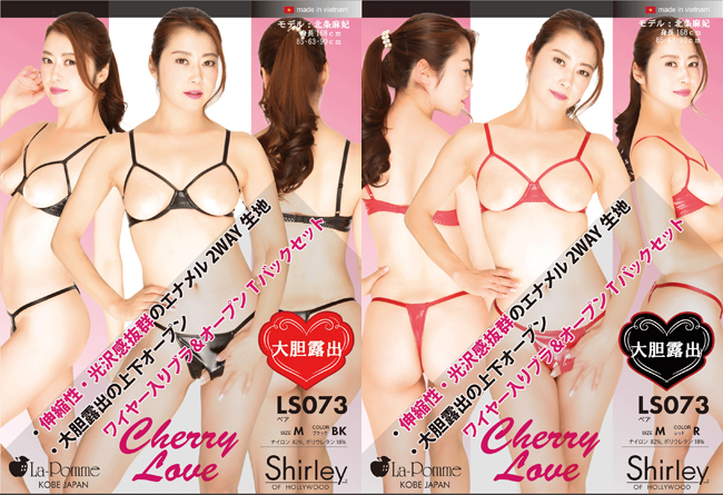 ワイヤー入りオープンブラ&オープンTバックセット【2WAY エナメル】【ハイレグ】【三角ブラ】Cherry Love（チェリーラブ）【La-pomme ラポーム】LS073